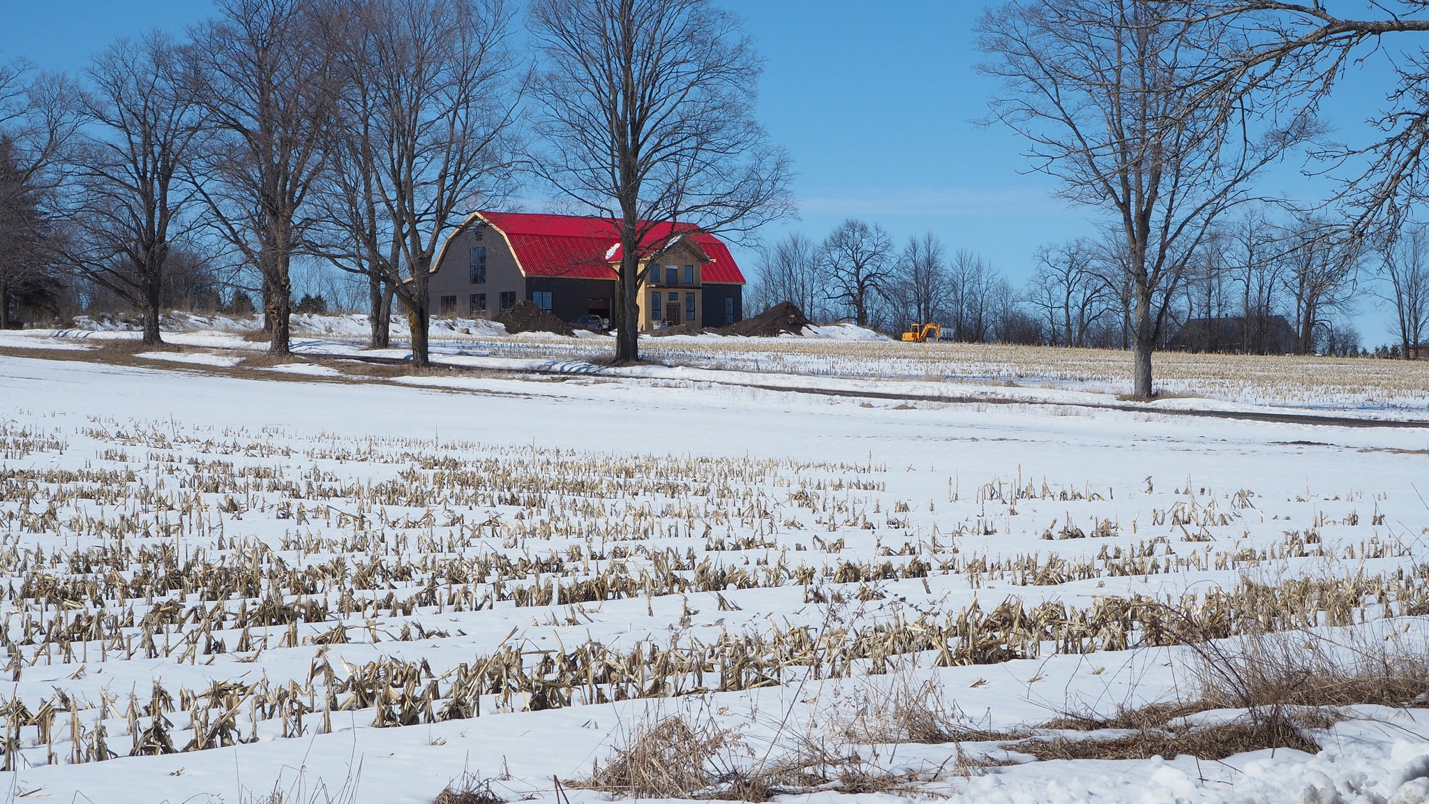 Pure Organic Ontario Maple Syrup